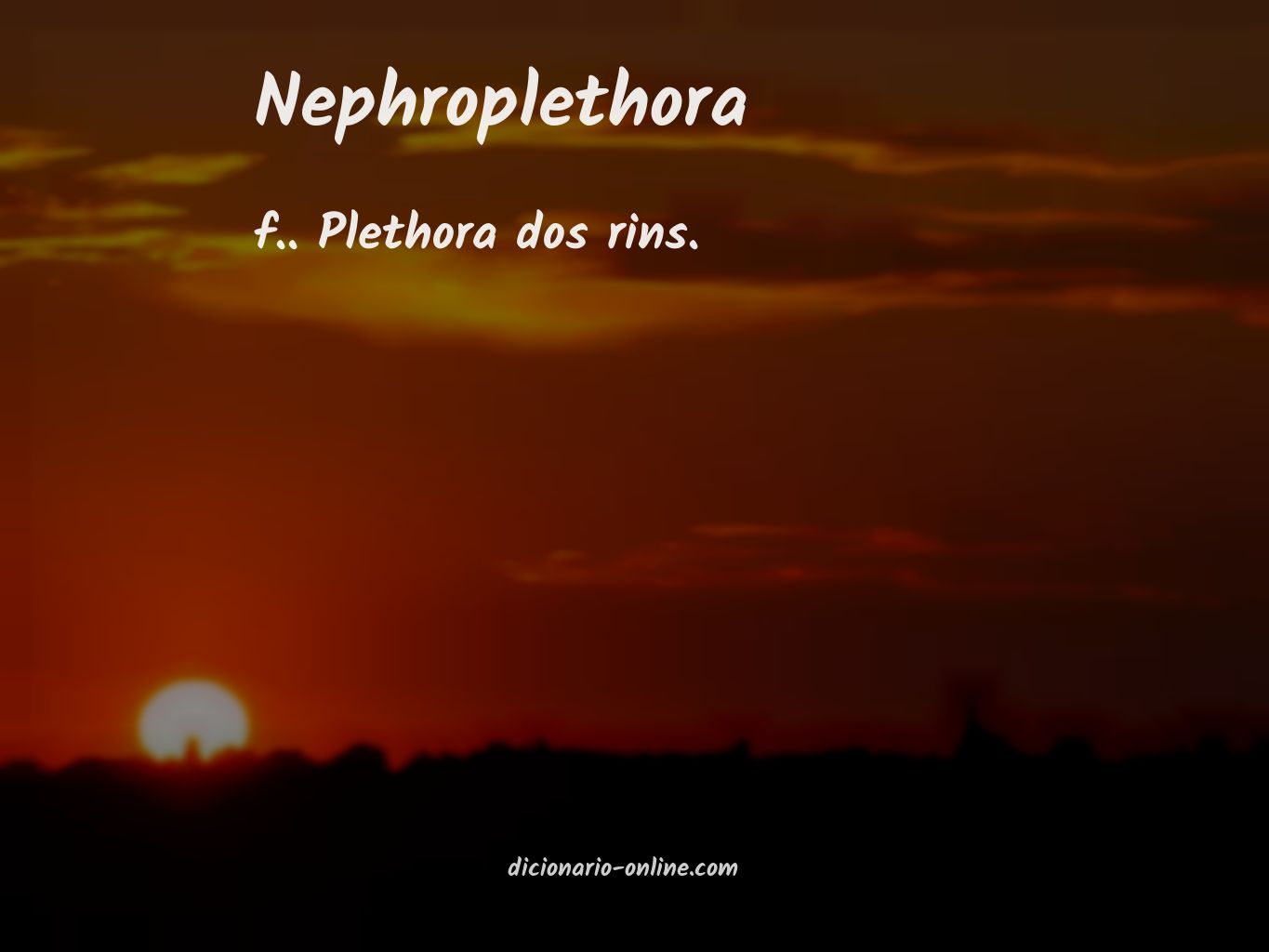 Significado de nephroplethora