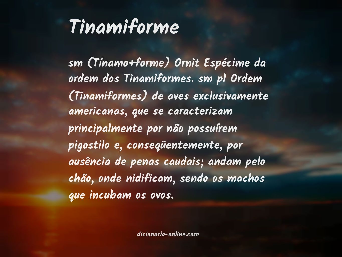 Significado de tinamiforme