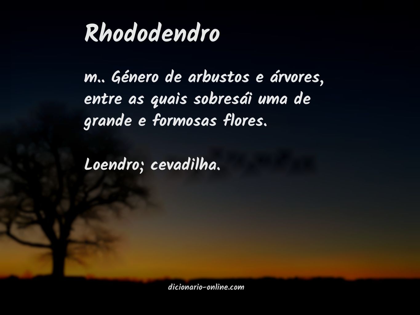 Significado de rhododendro