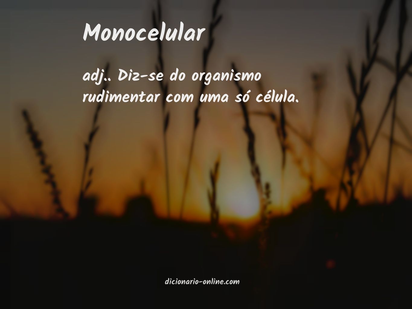 Significado de monocelular