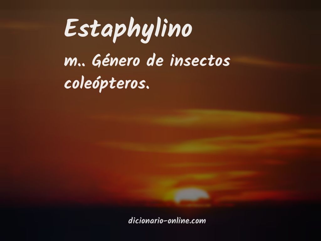 Significado de estaphylino