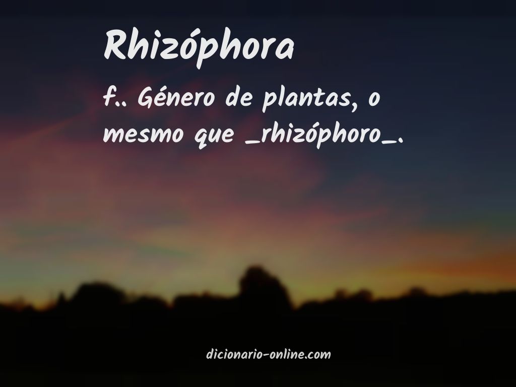 Significado de rhizóphora