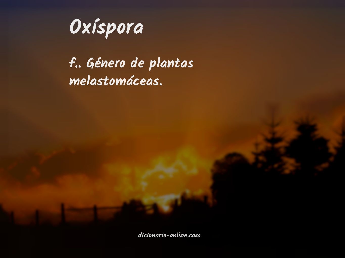 Significado de oxíspora