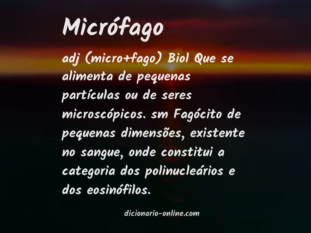 Significado de micrófago