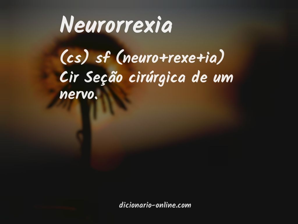 Significado de neurorrexia