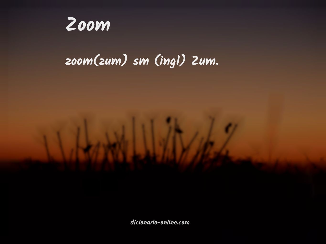 Significado de zoom