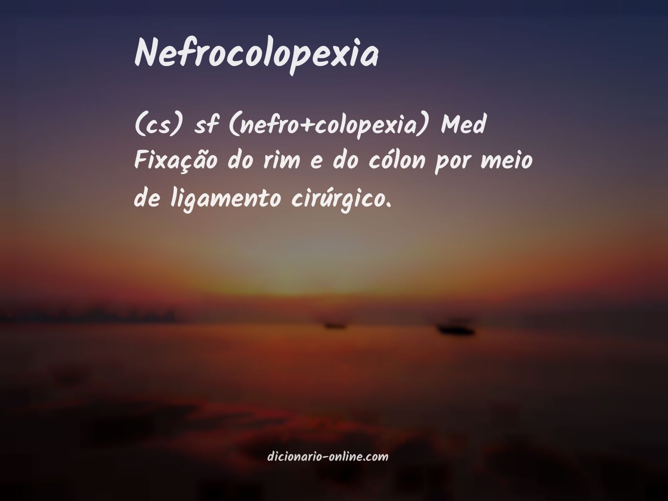 Significado de nefrocolopexia