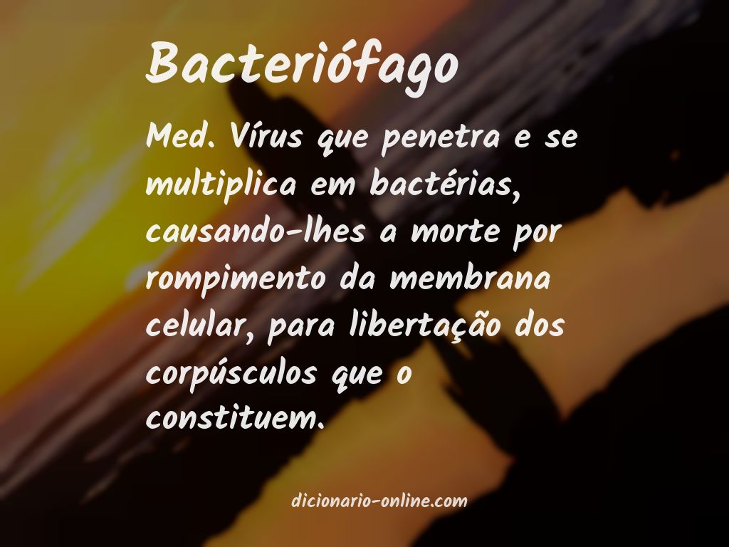 Significado de bacteriófago