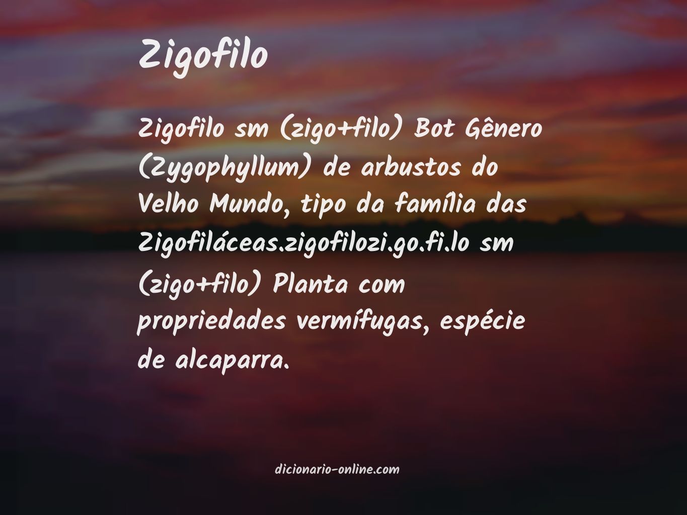 Significado de zigofilo
