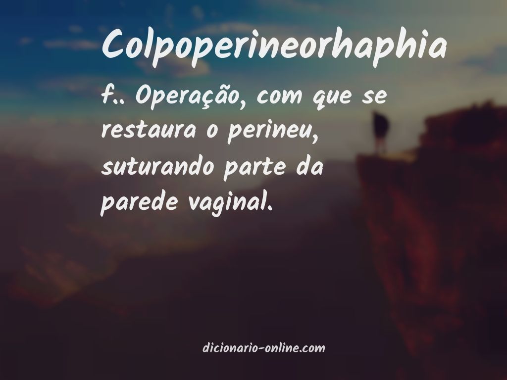 Significado de colpoperineorhaphia