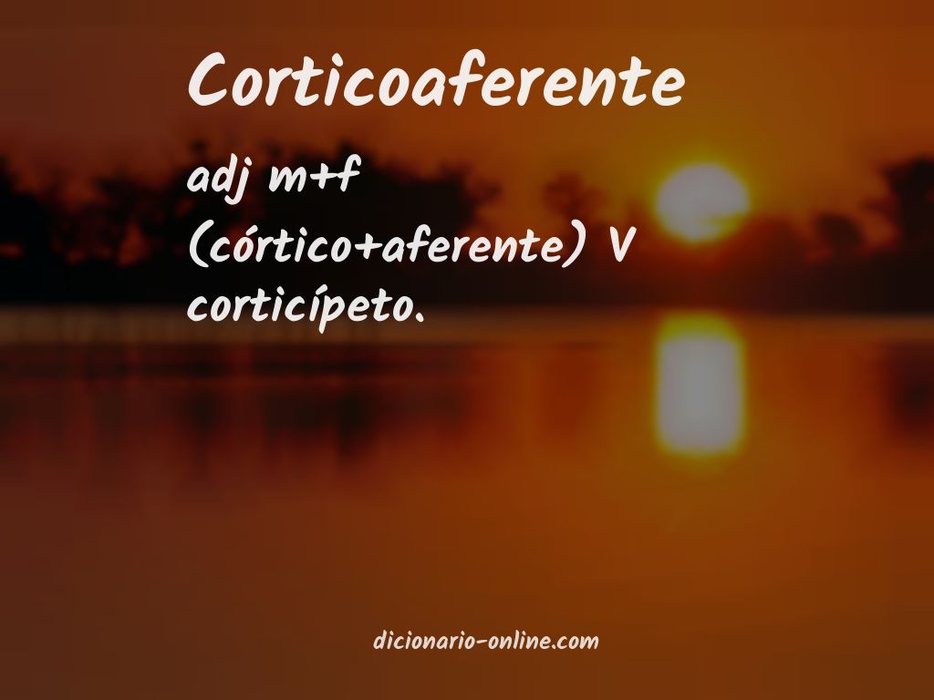 Significado de corticoaferente