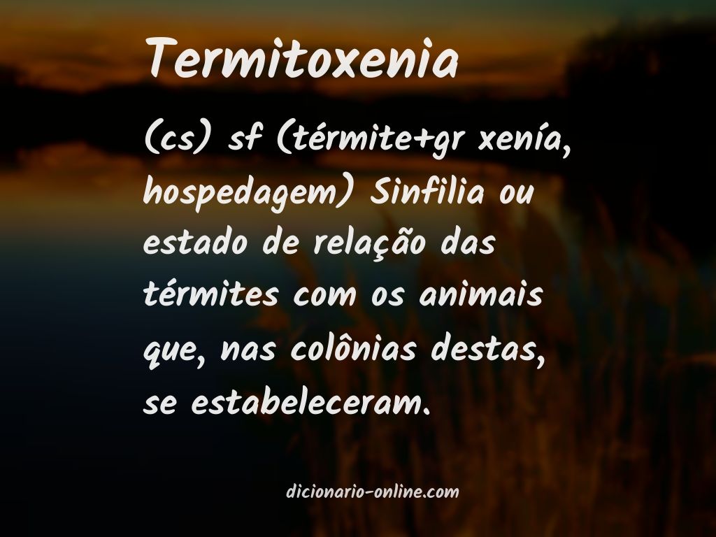 Significado de termitoxenia