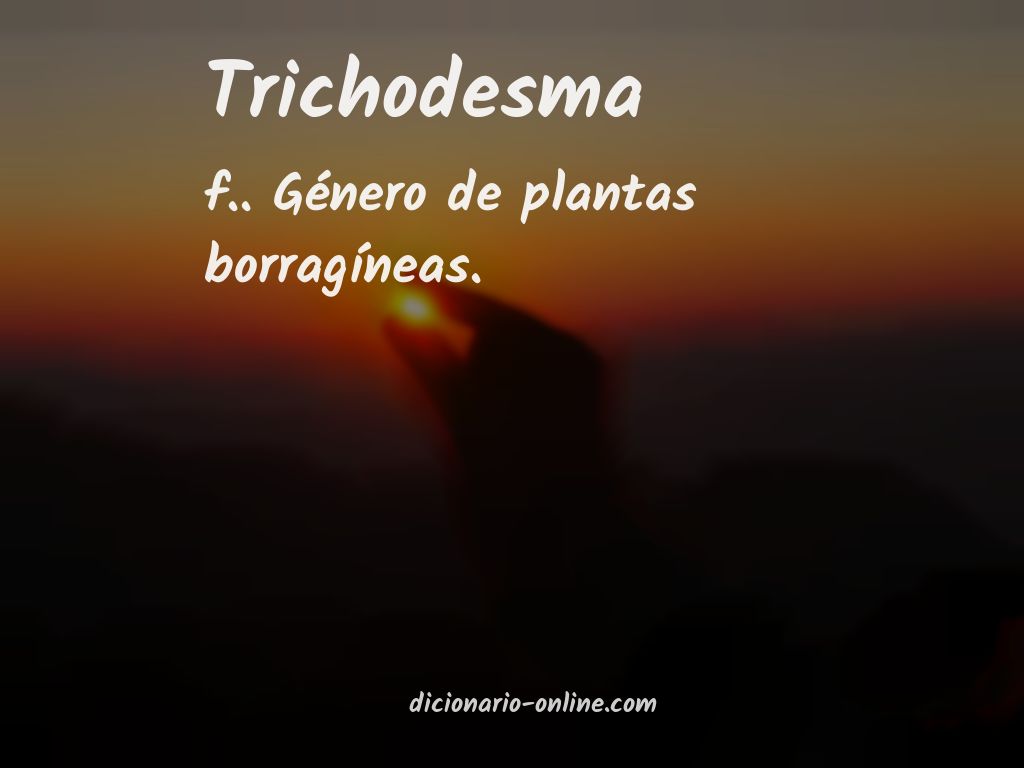 Significado de trichodesma