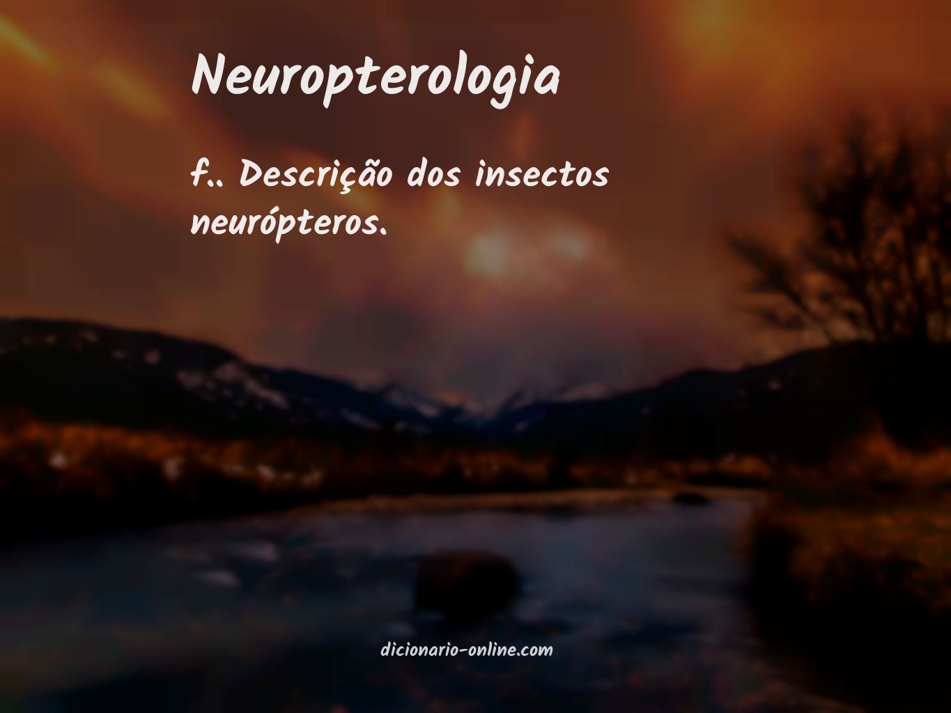 Significado de neuropterologia