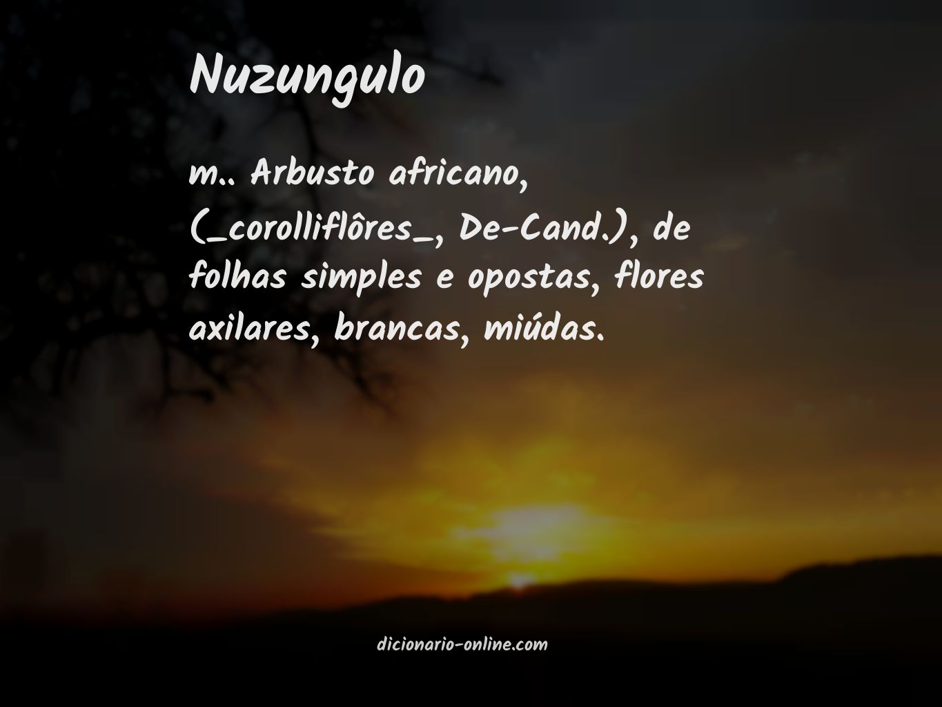 Significado de nuzungulo