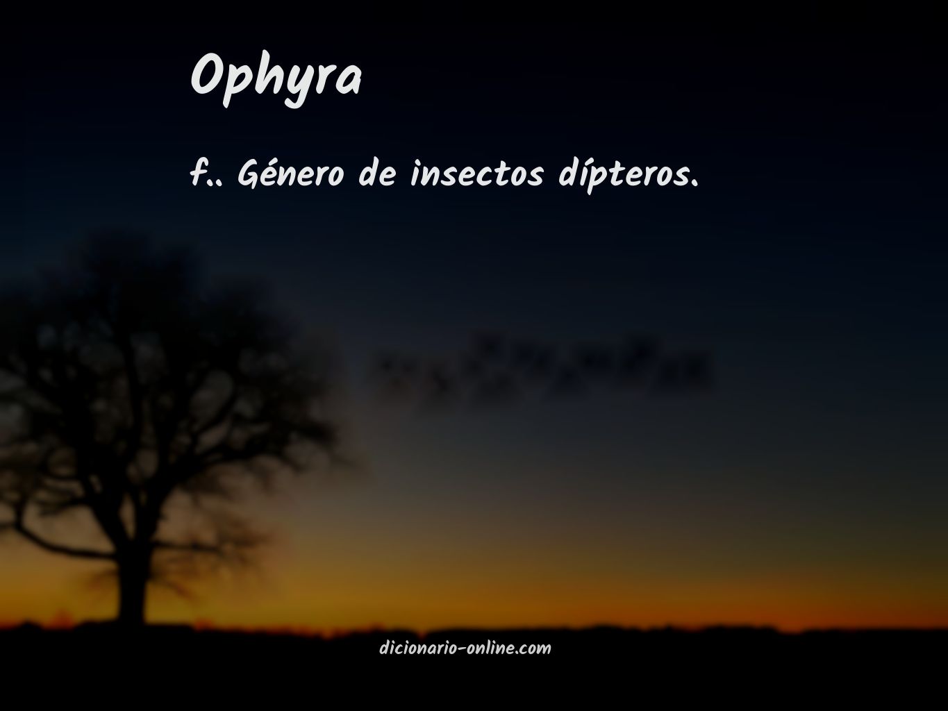 Significado de ophyra
