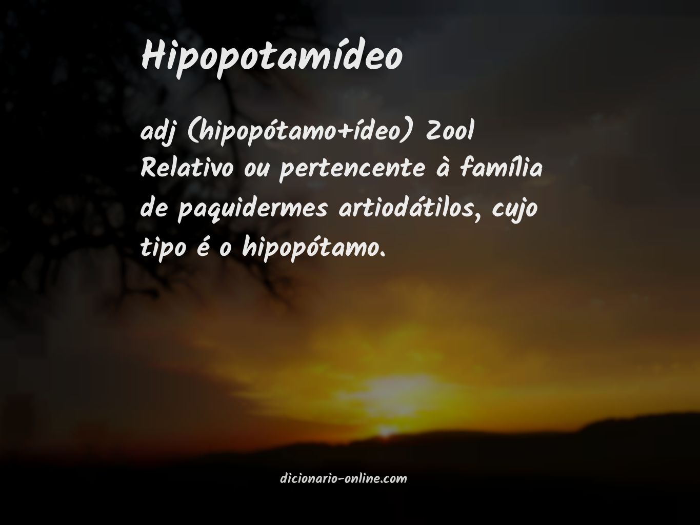 Significado de hipopotamídeo