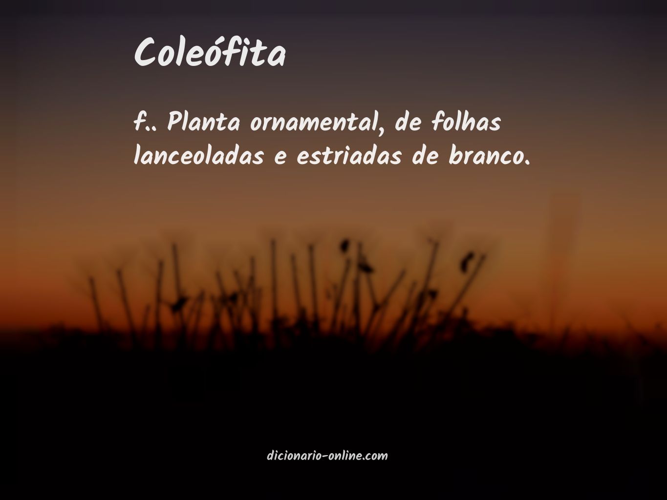Significado de coleófita