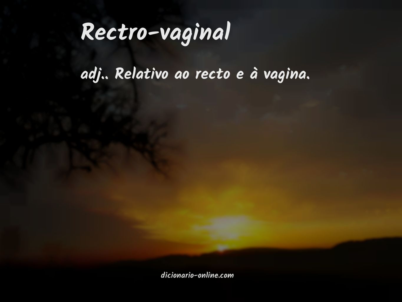 Significado de rectro-vaginal