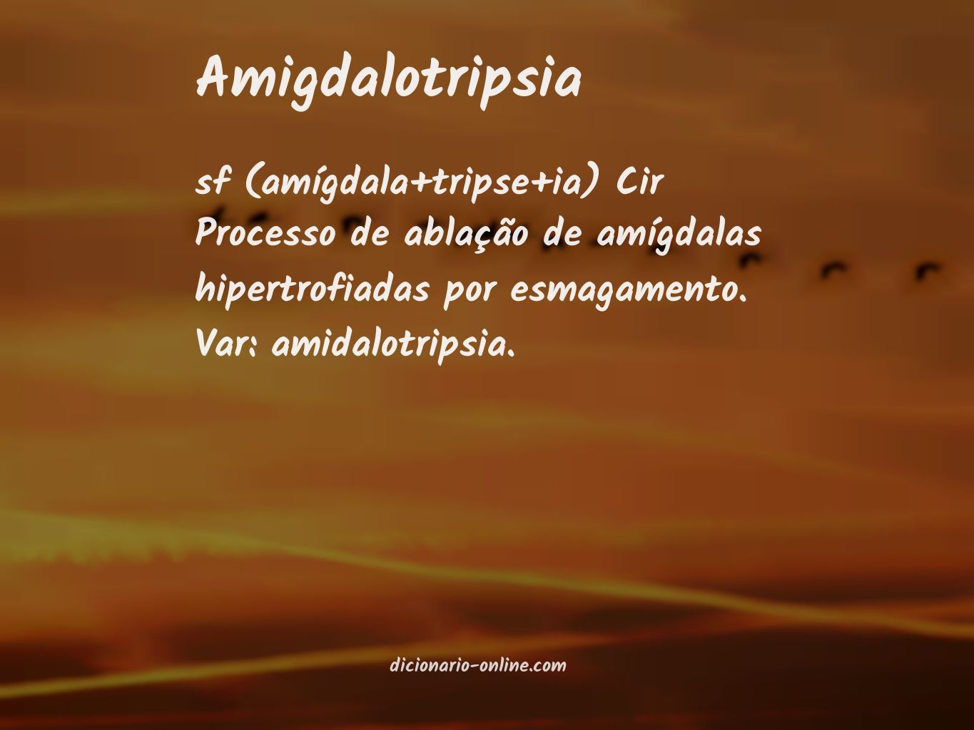 Significado de amigdalotripsia