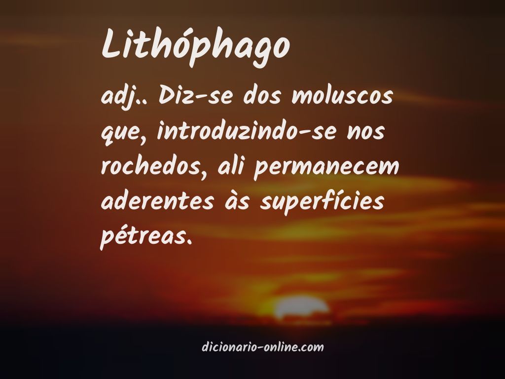 Significado de lithóphago