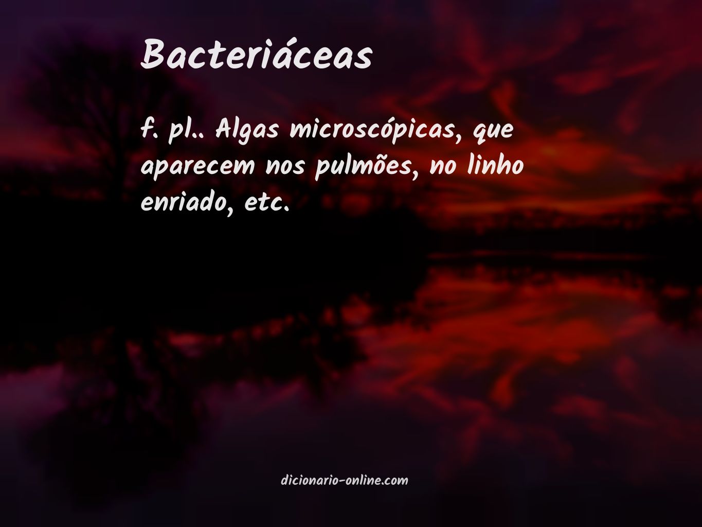 Significado de bacteriáceas