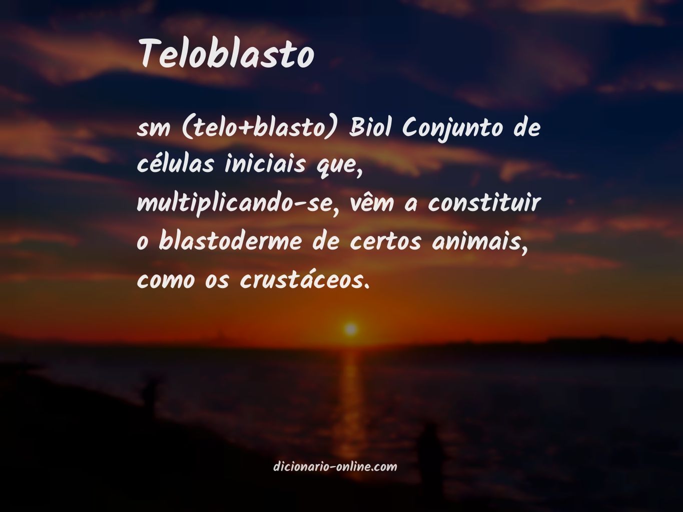 Significado de teloblasto