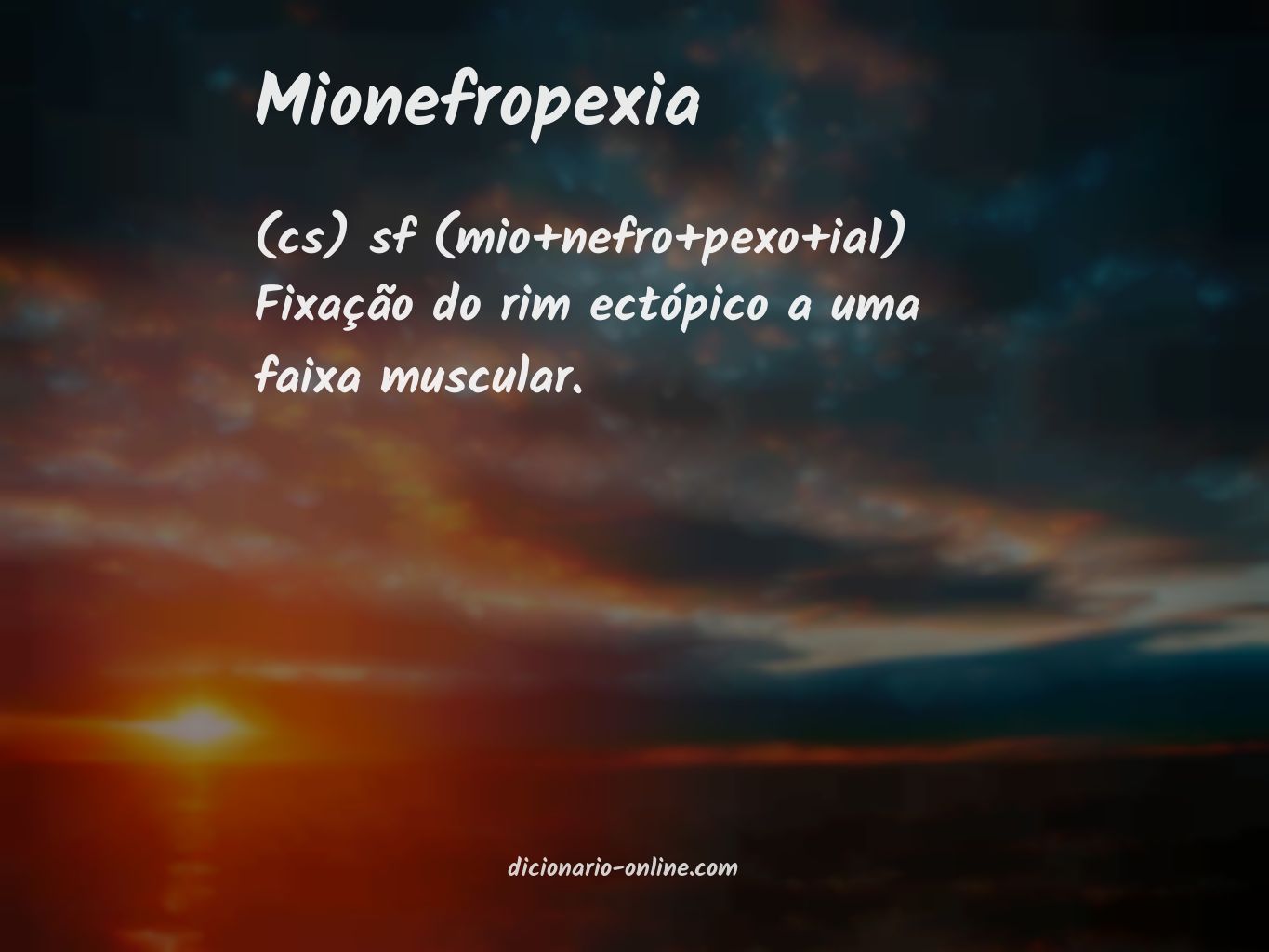 Significado de mionefropexia