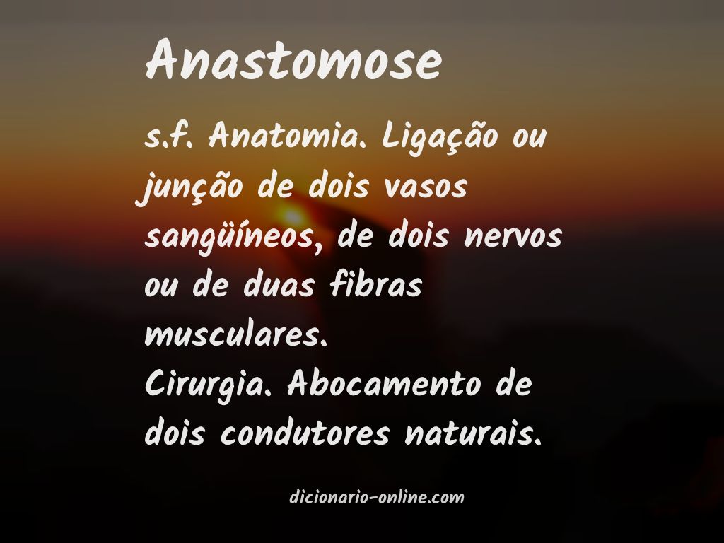 Significado de anastomose