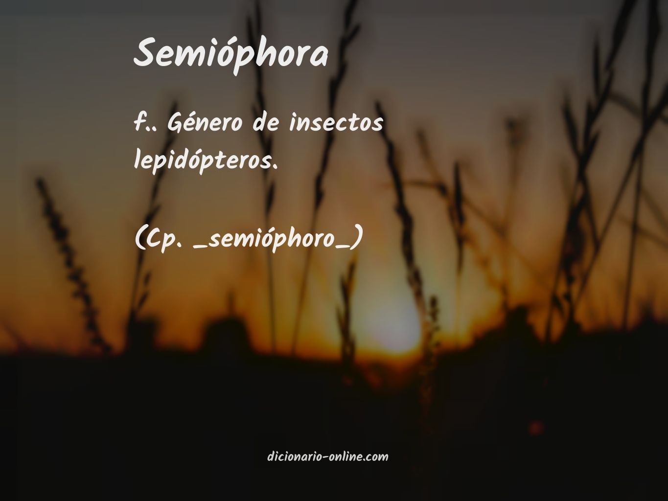 Significado de semióphora