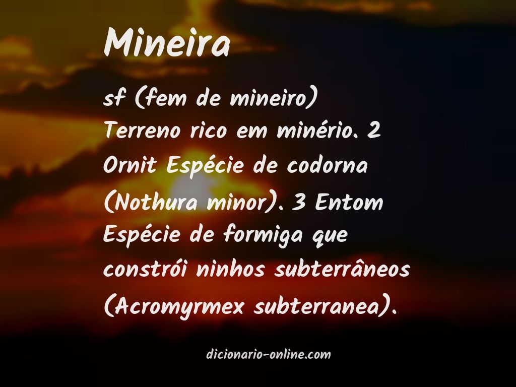 Significado de mineira