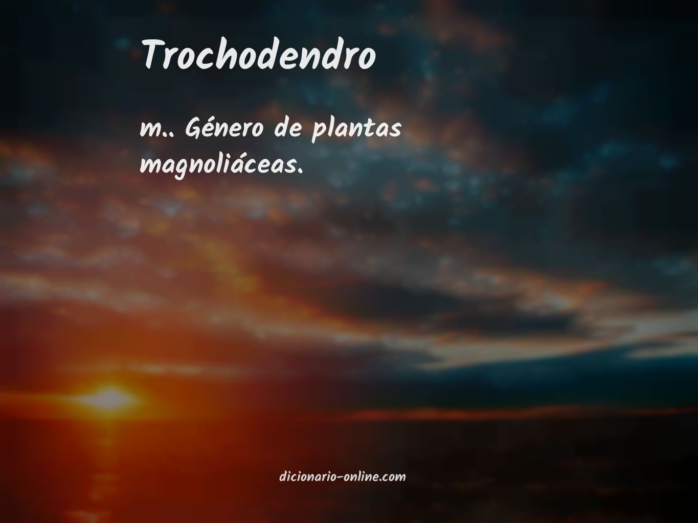 Significado de trochodendro