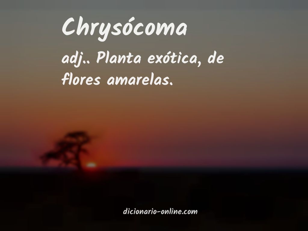 Significado de chrysócoma