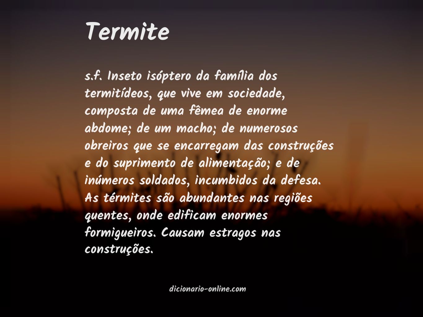 Significado de termite