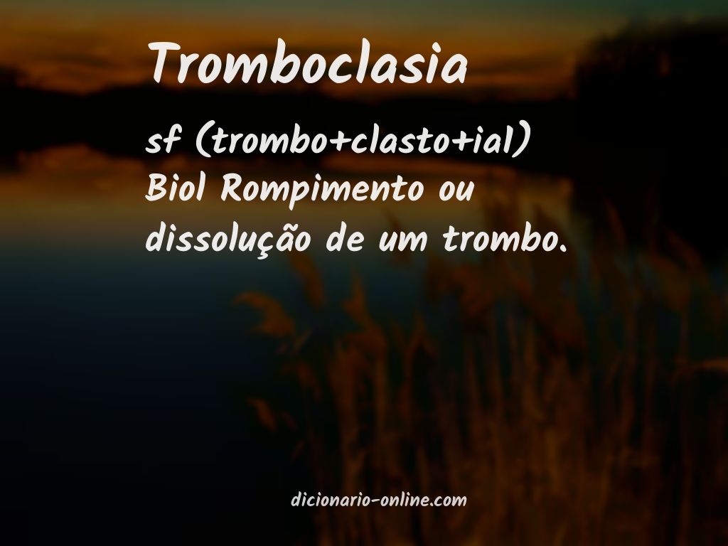 Significado de tromboclasia