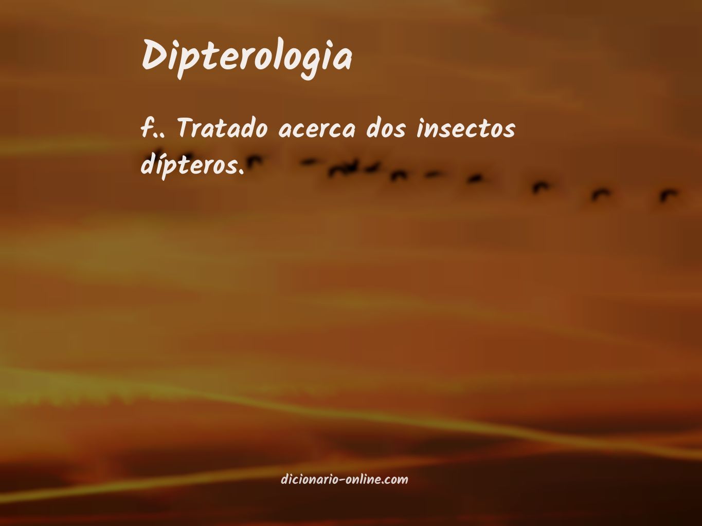 Significado de dipterologia