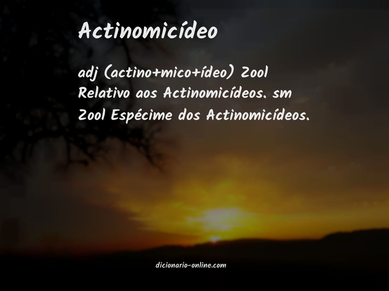 Significado de actinomicídeo