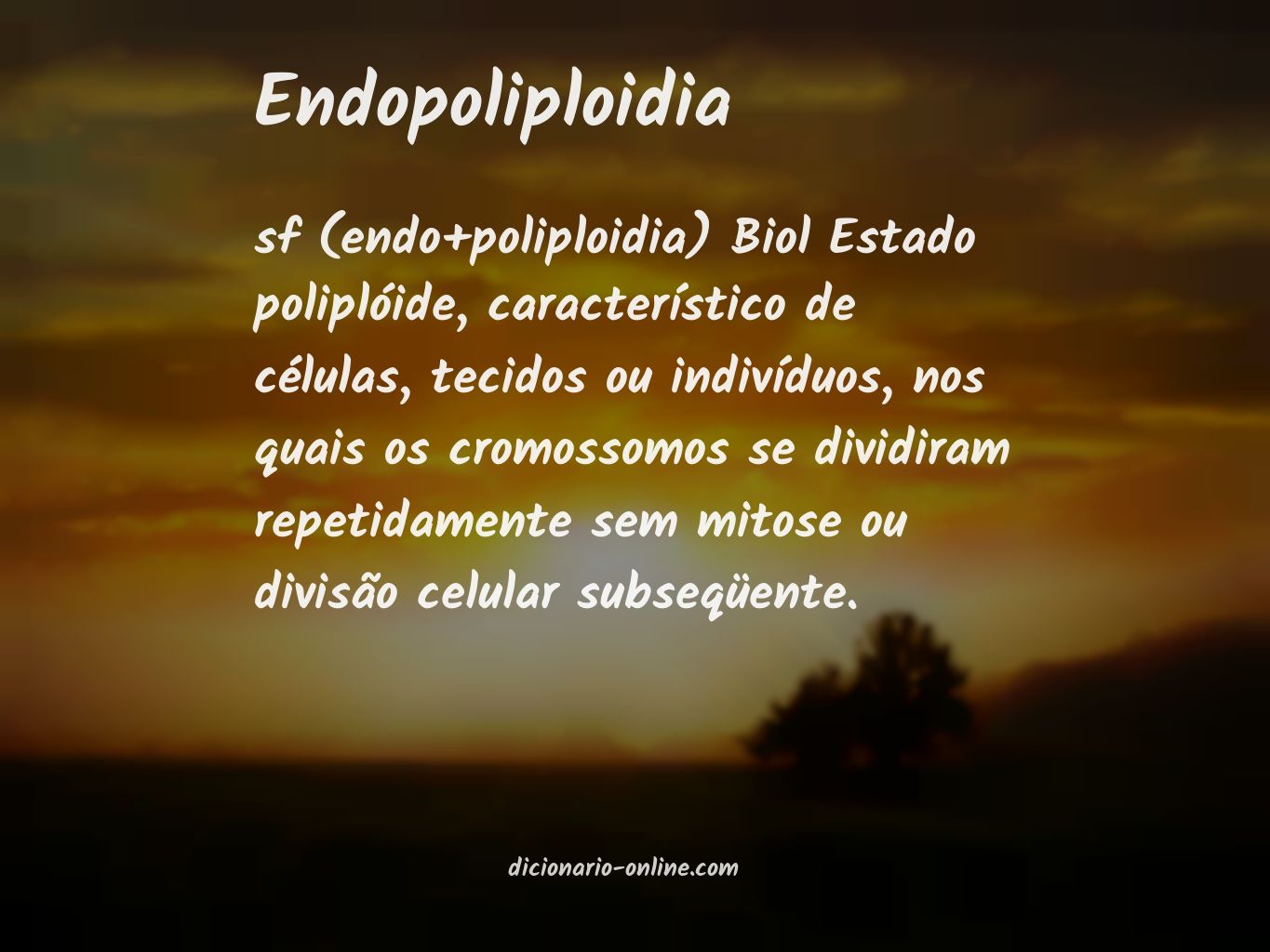 Significado de endopoliploidia