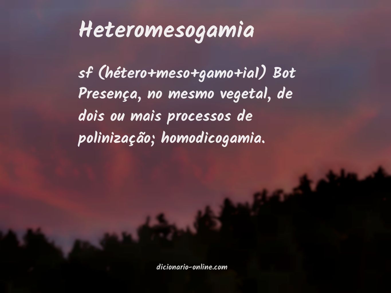 Significado de heteromesogamia