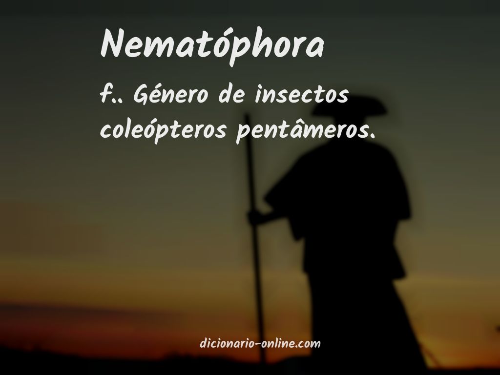 Significado de nematóphora