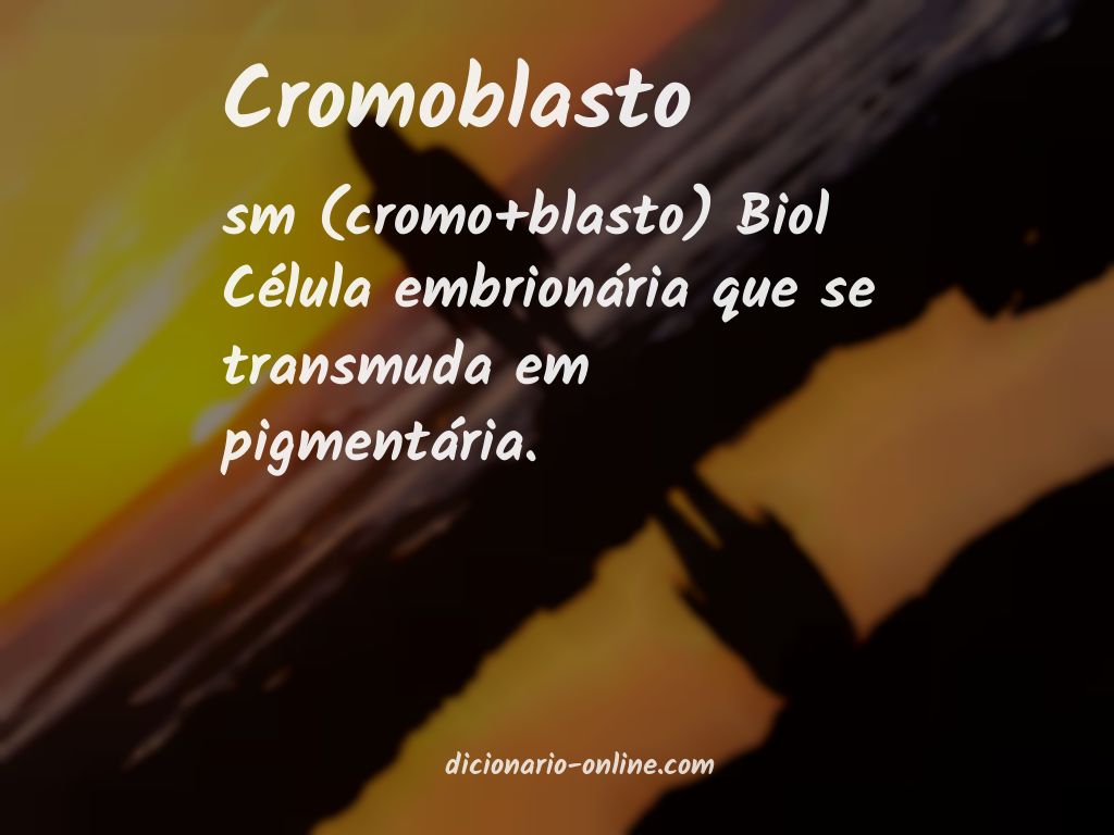 Significado de cromoblasto