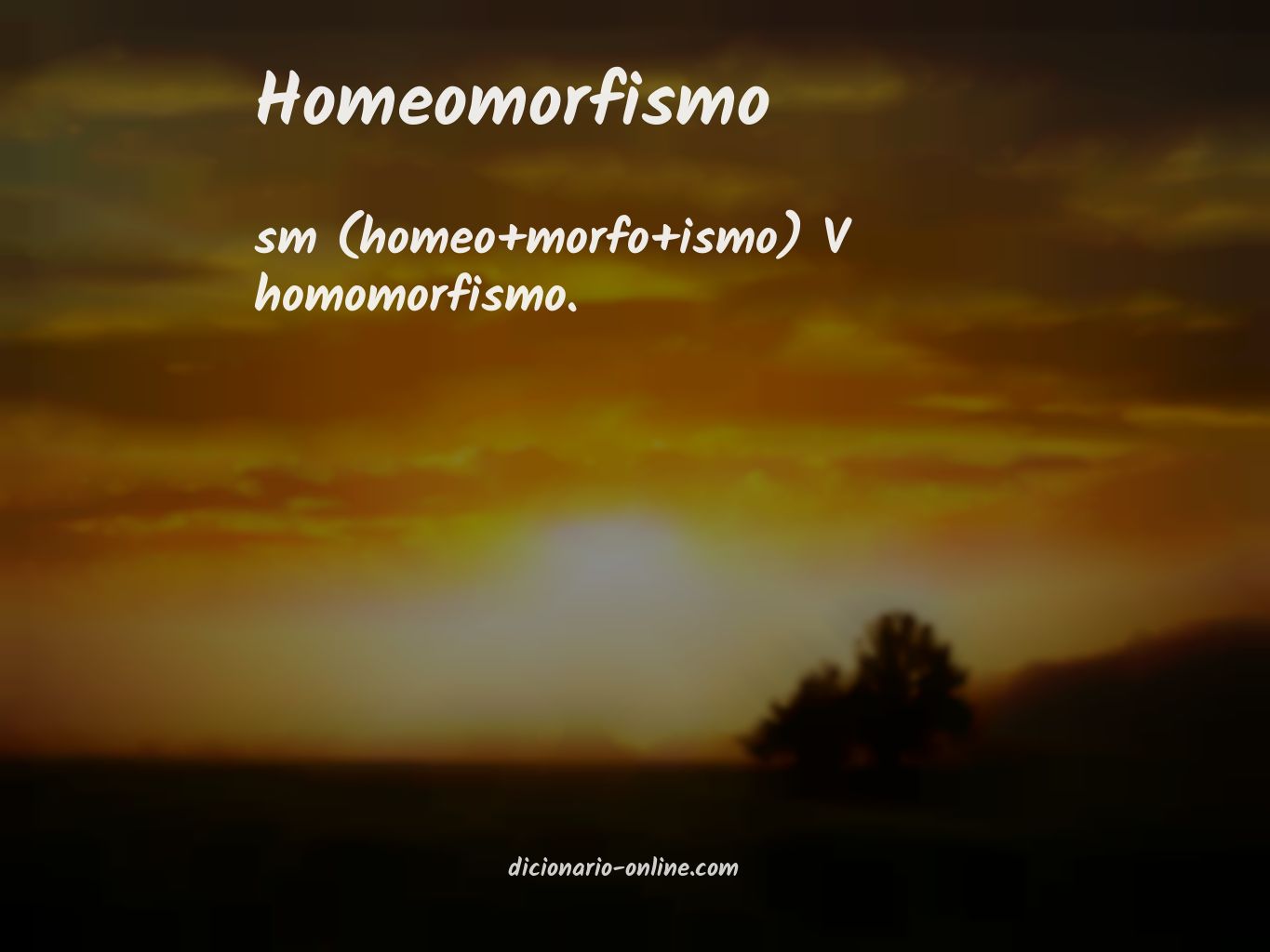 Significado de homeomorfismo