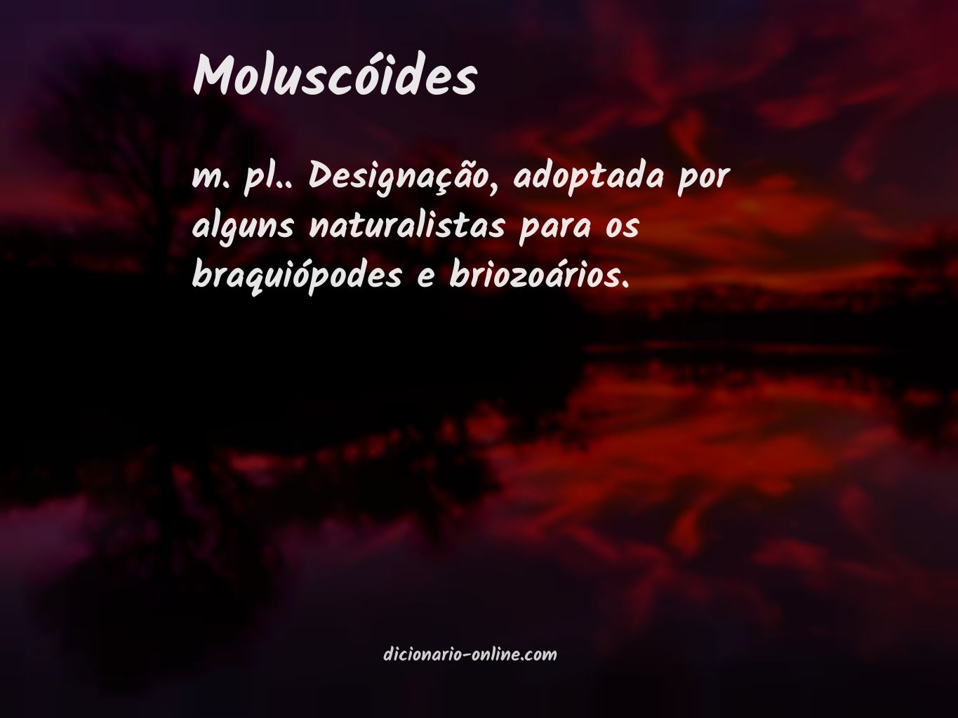 Significado de moluscóides