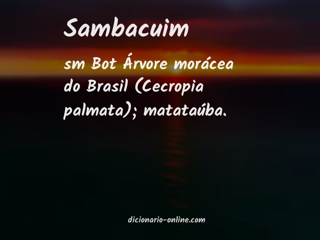 Significado de sambacuim