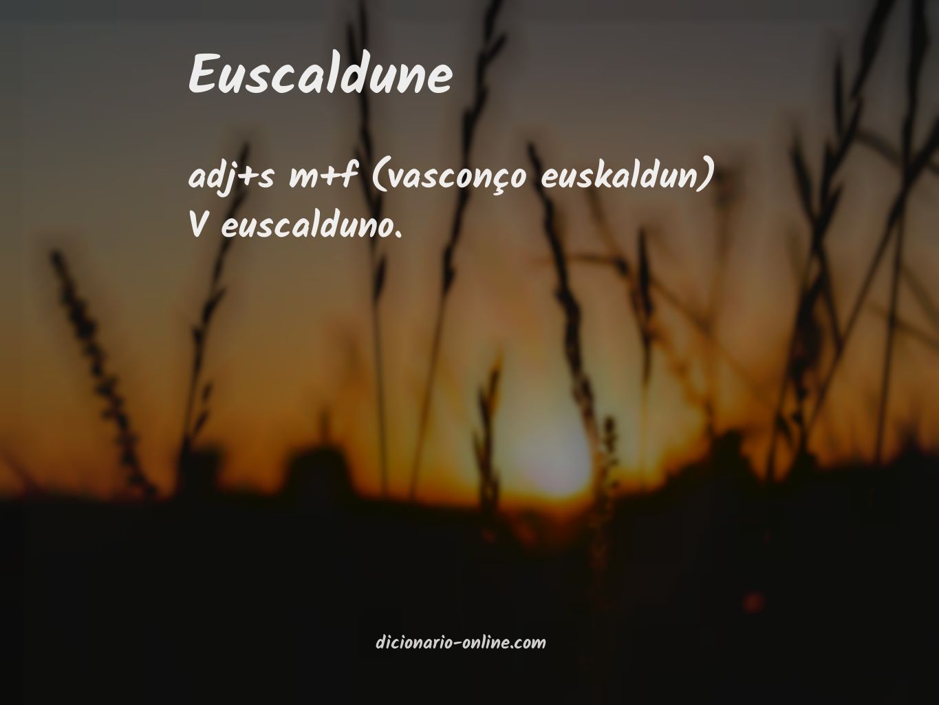 Significado de euscaldune