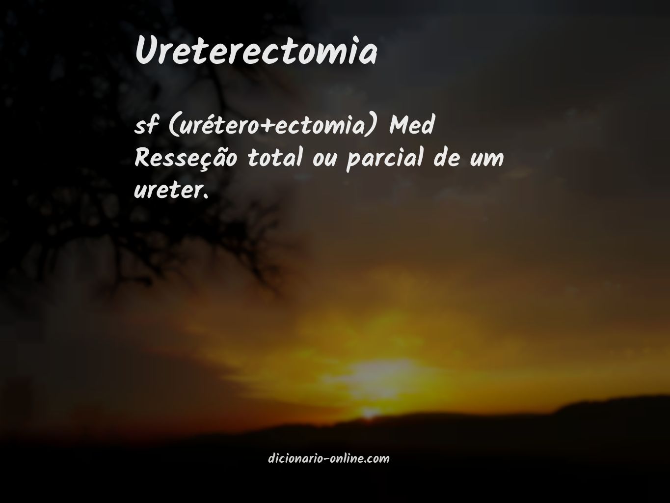 Significado de ureterectomia