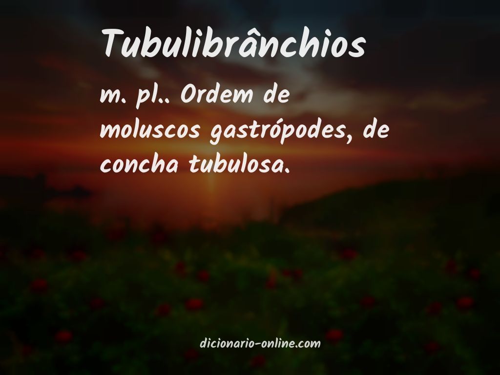 Significado de tubulibrânchios