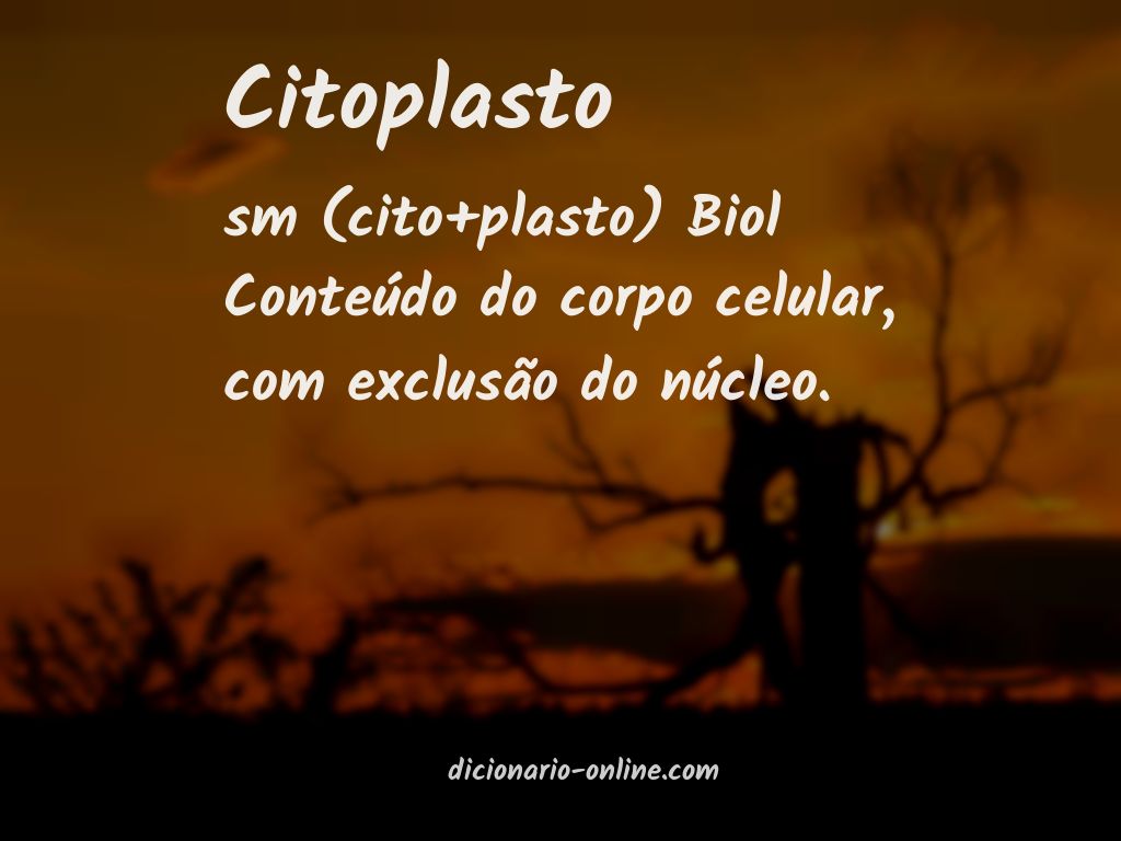 Significado de citoplasto