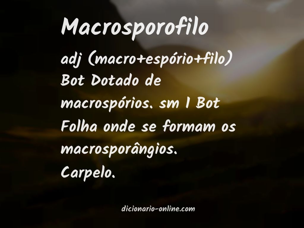 Significado de macrosporofilo