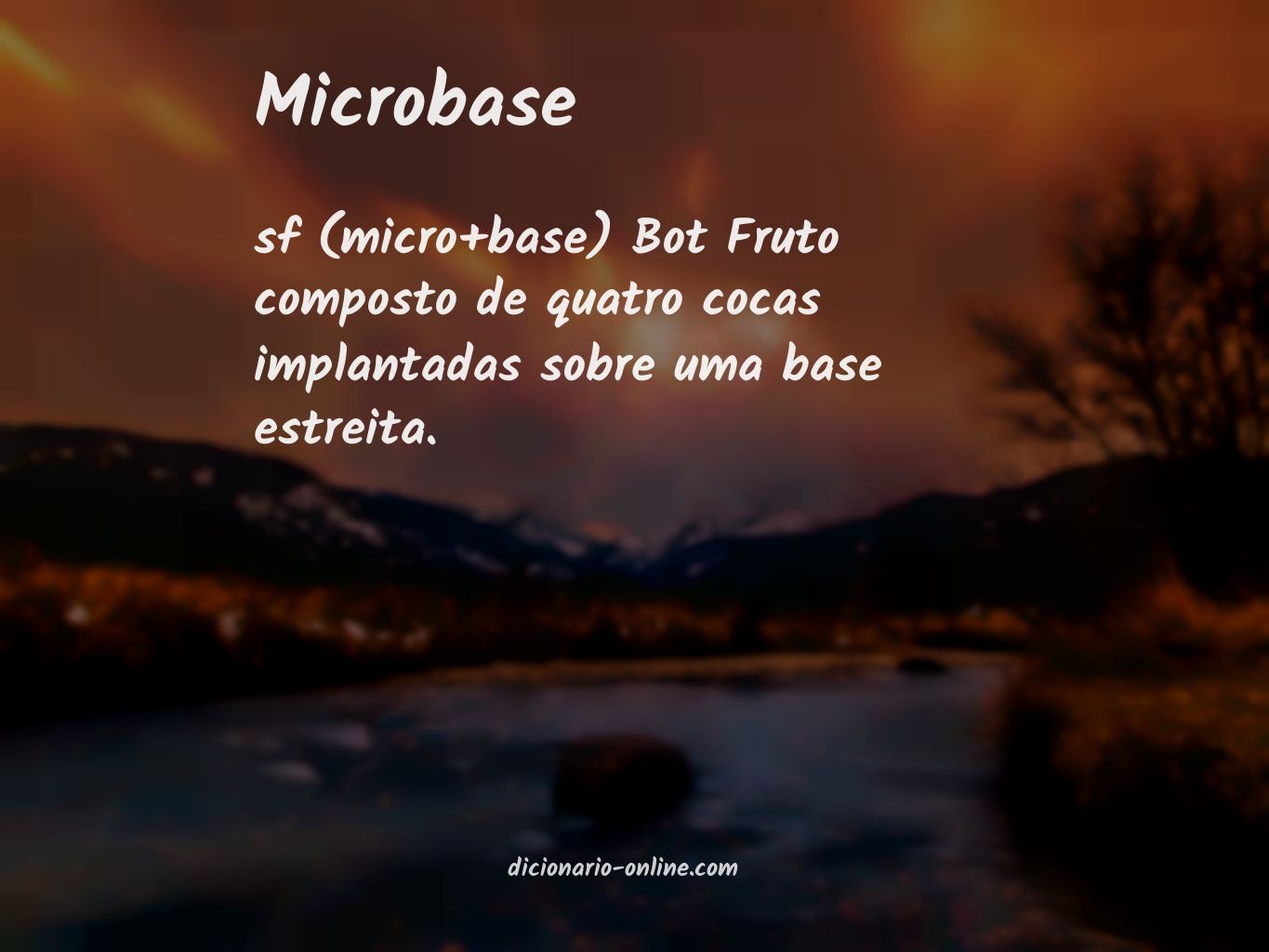 Significado de microbase
